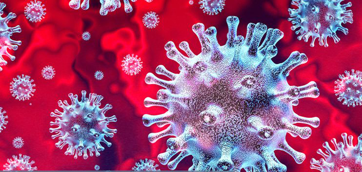 Coronavirus : les bons réflexes